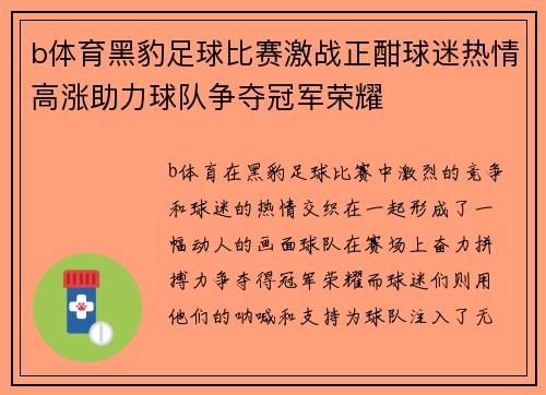 b体育黑豹足球比赛激战正酣球迷热情高涨助力球队争夺冠军荣耀