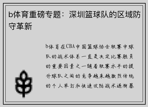 b体育重磅专题：深圳篮球队的区域防守革新