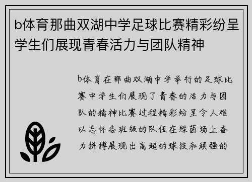 b体育那曲双湖中学足球比赛精彩纷呈学生们展现青春活力与团队精神